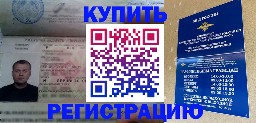прописка законно в Щиграх